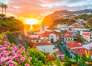  Essências da Ilha da Madeira